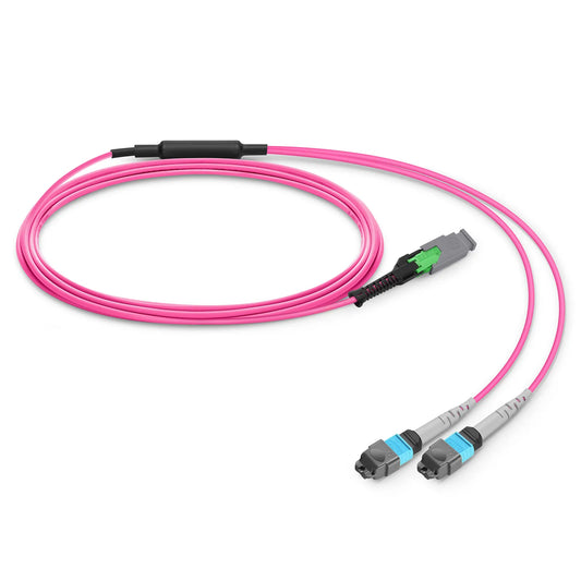 3m (10ft) MMC Breakout Cable, MMC-16 APC (Female) to 2 x MTP®-8 UPC (Female), 16 Fibers, Multimode (OM4), Plenum (OFNP), 0.35dB Max, Jumper Polarity, Magenta