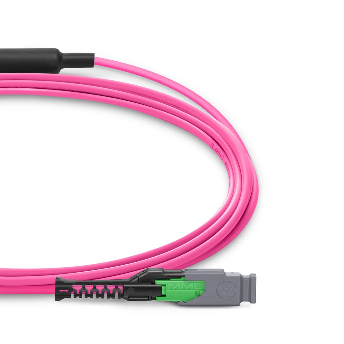 2m (7ft) MMC Breakout Cable, MMC-16 APC (Female) to 2 x MTP®-8 APC (Female), 16 Fibers, Multimode (OM4), Plenum (OFNP), 0.35dB Max, Jumper Polarity, Magenta