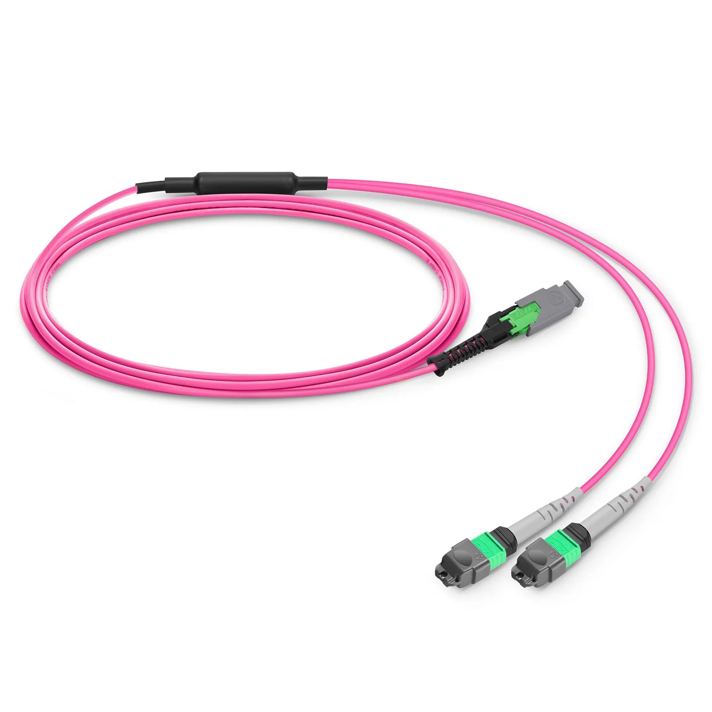 2m (7ft) MMC Breakout Cable, MMC-16 APC (Female) to 2 x MTP®-8 APC (Female), 16 Fibers, Multimode (OM4), Plenum (OFNP), 0.35dB Max, Jumper Polarity, Magenta