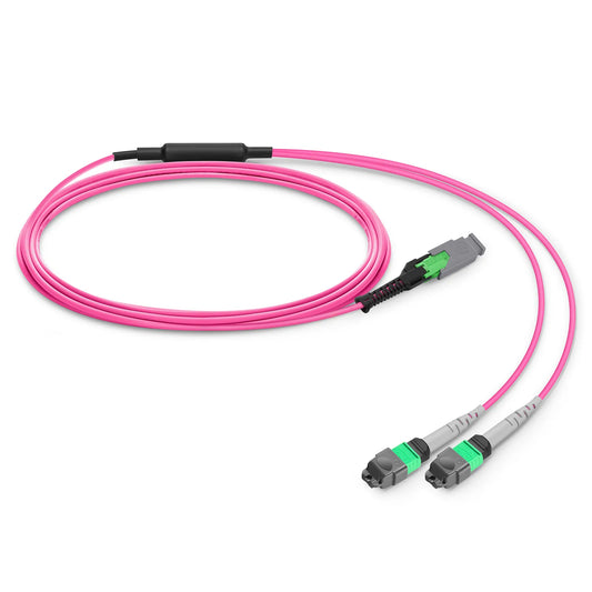 2m (7ft) MMC Breakout Cable, MMC-16 APC (Female) to 2 x MTP®-8 APC (Female), 16 Fibers, Multimode (OM4), Plenum (OFNP), 0.35dB Max, Jumper Polarity, Magenta