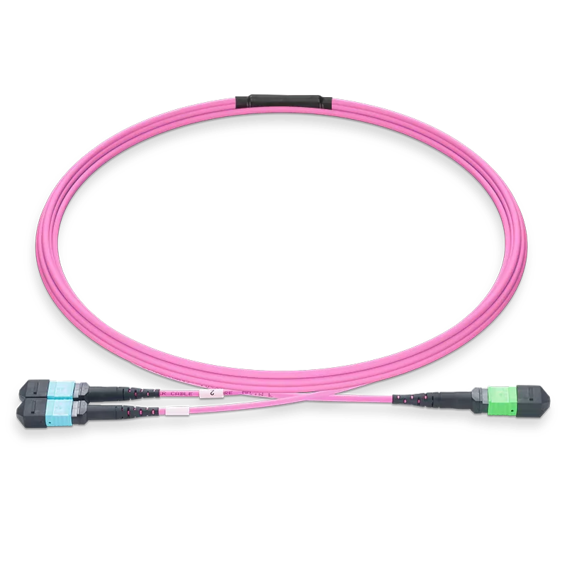 5m (16ft) MPO-16 APC (Female) to 2xMPO-8 UPC (Female) Multimode (OM4) Breakout, Type B, LSZH, 3.0mm, Max IL ÃƒÂ¢Ã¢â‚¬Â°Ã‚Â¤ 0.35dB, Magenta SFPS