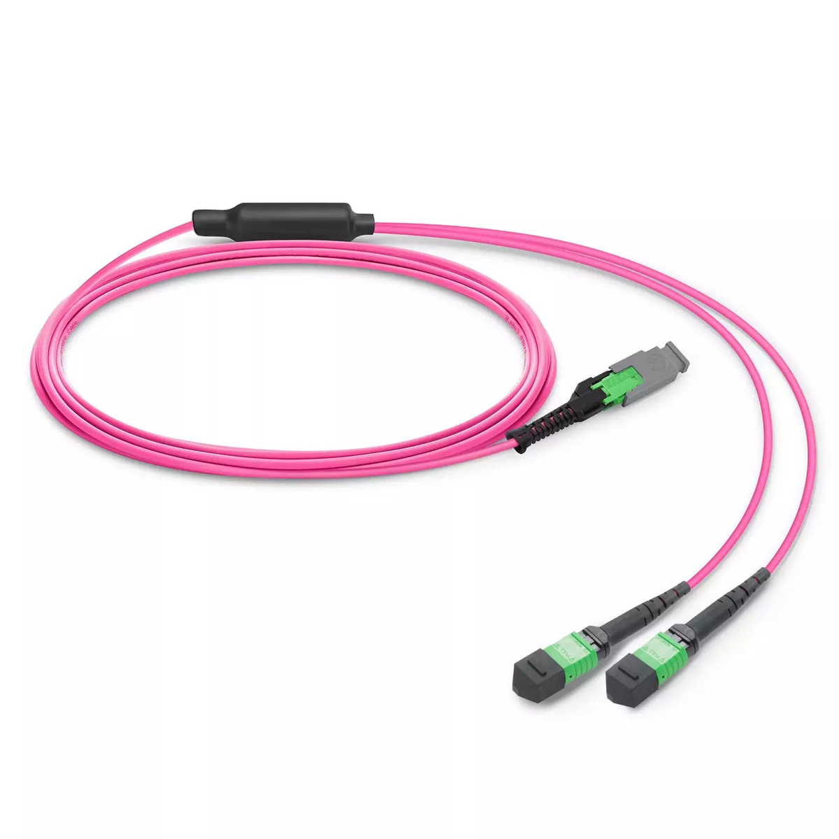 0.5m (1.6ft) MMC Breakout Cable, MMC-16 APC (Female) to 2 x MPO-8 APC (Female), 16 Fibers, Multimode (OM4), Jumper Polarity, OFNP, 2.5mm, Max IL ÃƒÂ¢Ã¢â‚¬Â°Ã‚Â¤ 0.35dB, Magenta SFPS