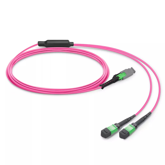 0.5m (1.6ft) MMC Breakout Cable, MMC-16 APC (Female) to 2 x MPO-8 APC (Female), 16 Fibers, Multimode (OM4), Jumper Polarity, OFNP, 2.5mm, Max IL ÃƒÂ¢Ã¢â‚¬Â°Ã‚Â¤ 0.35dB, Magenta SFPS