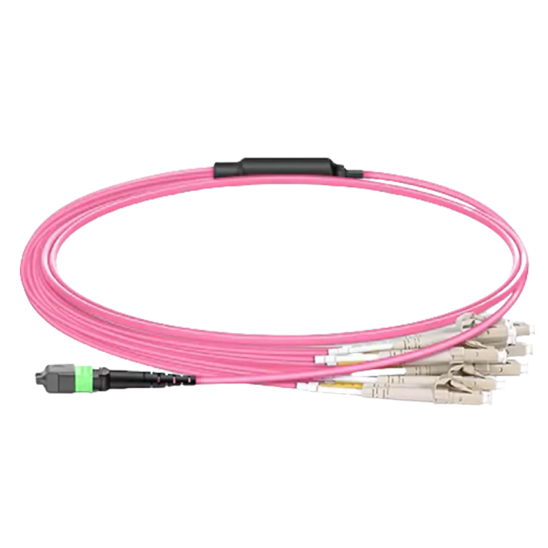 20m (66ft) MTPÃƒâ€šÃ‚Â®-16 APC (Female) to 8x LC Duplex UPC Multimode (OM4) Harness Cable, Type B, LSZH, Magenta SFPS