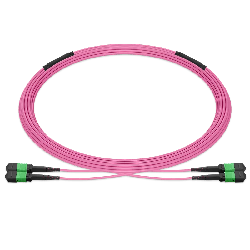 20m (66ft) Pre-terminated MPO 2x2 Shuffle Trunk Cable, 16 Fibers, 2xMPO-8 APC Male to 2xMPO-8 APC Male, Multimode (OM4), Type 2, LSZH, 0.35dB Max, Breakout 80cm, Magenta SFPS