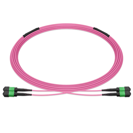 10m (33ft) Pre-terminated MPO 2x2 Shuffle Trunk Cable, 16 Fibers, 2xMPO-8 APC Male to 2xMPO-8 APC Male, Multimode (OM4), Type 2, LSZH, 0.35dB Max, Breakout 80cm, Magenta SFPS