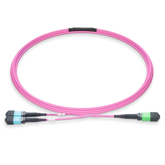 50m (164ft) MPO-16 APC (Female) to 2xMPO-8 UPC (Female) Multimode (OM4) Breakout, Type B, LSZH, 3.0mm, Max IL Ã¢â€°Â¤ 0.35dB, Magenta SFPS